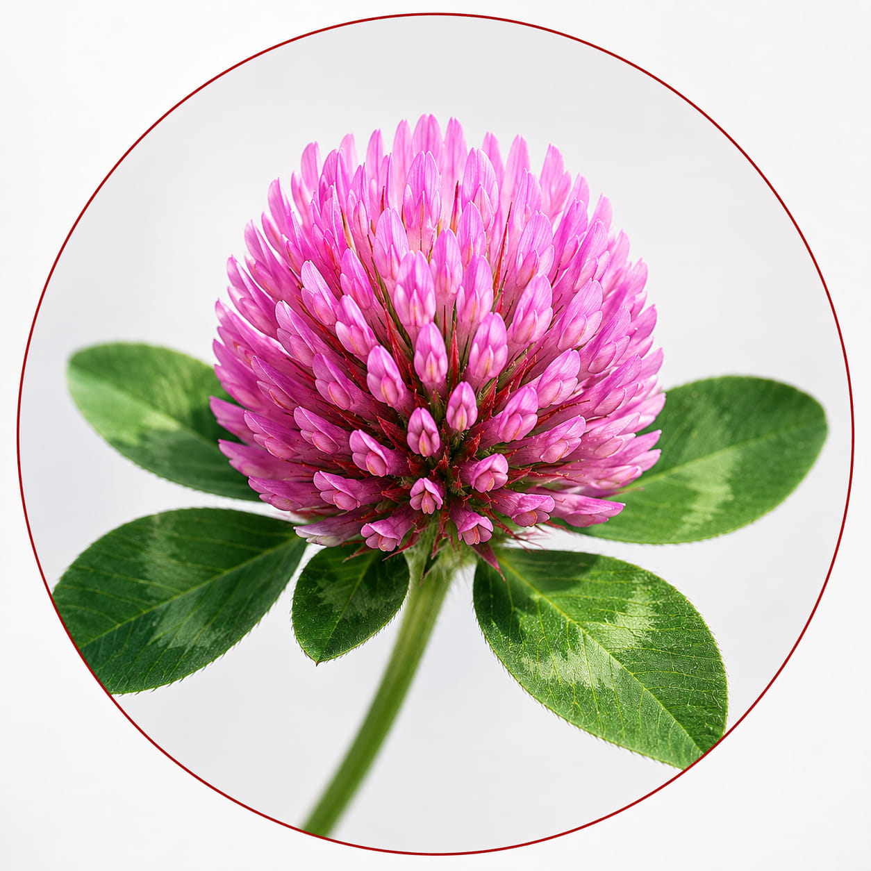 #